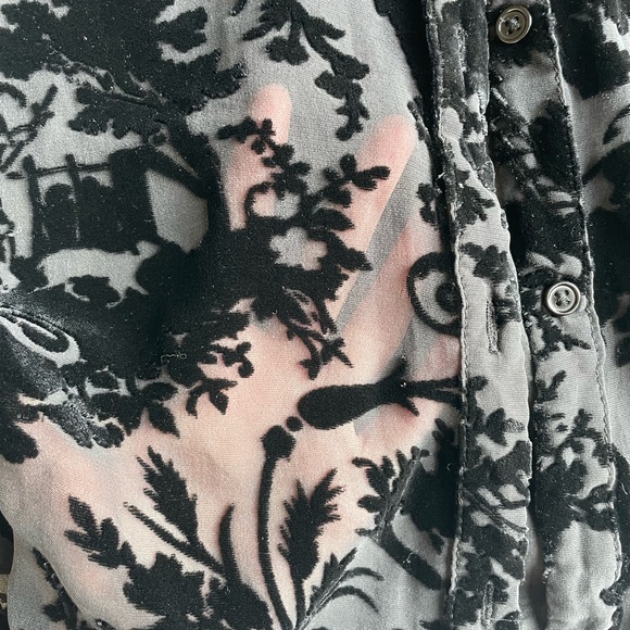 Page Sheer/ Velvet Button Down - Picture 4 of 5
